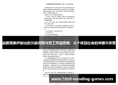 赵鹏现象折射出的欠薪问题与劳工权益困境：从个体到社会的深层次反思