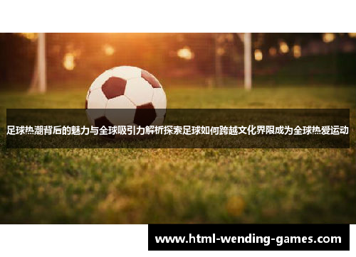 足球热潮背后的魅力与全球吸引力解析探索足球如何跨越文化界限成为全球热爱运动